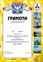 День города День работника атомной промышленности Нововоронеж 2013 дартс