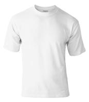 novic_white