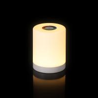 Лампа с сенсорным управлением TouchLight ver.2, белая от martvrn.ru