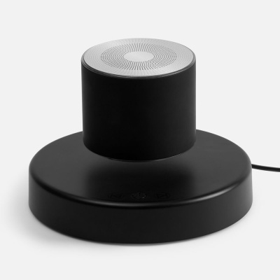 Левитирующая колонка Levitronic от martvrn.ru