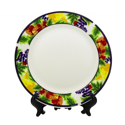 plt7-800x800