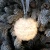 Елочный шар Snowglow от РПК МАРТ Воронеж Елочный шар Snowglow от martvrn.ru